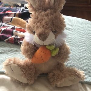 fans Easter bunny with carrot